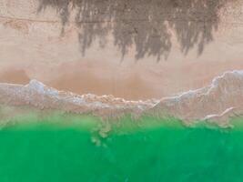 Aerial perspective of a tranquil beach on Oahu Island, Hawaii, featuring green ocean waters, sandy shoreline, gentle waves, and tree shadows on the sand. photo