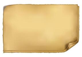 Blank Rolled Parchment Paper Background vector