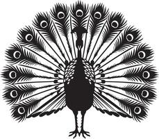 A silhouette peacock displaying its feathers against a white background vector