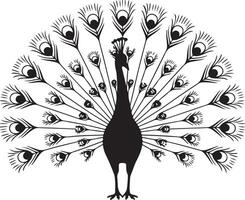 illustration of a black silhouette of a peacock displaying its feathers against a white background vector