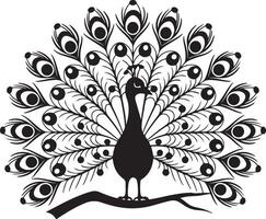 peacock displaying its feathers against a white background vector