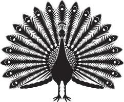 black silhouette of a peacock displaying its feathers against a white background vector