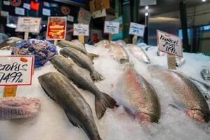 Fresh fish, including salmon and rainbow trout, on crushed ice with handwritten price tags at Pike Place Market, surrounded by colorful signage. photo