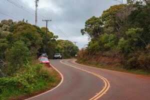 A winding road with reddish volcanic soil, surrounded by dense tropical greenery, utility poles, parked vehicles, and an overcast sky in Hawaii. photo