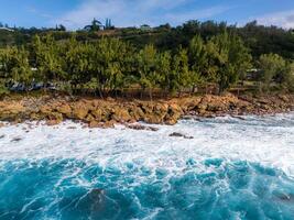 Turquoise waves crash against a rocky shoreline on Oahu island, bordered by lush green trees. Structures and vehicles are partially visible under a clear sky. photo