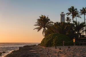 Sunset Beach Scene with Lighthouse and Palm Trees in Hawaii photo