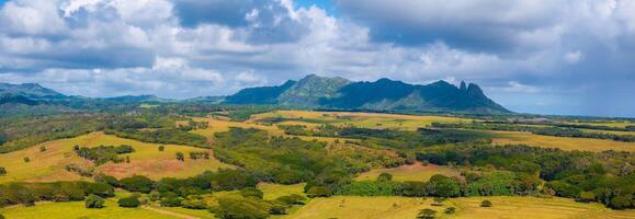A vibrant aerial view of Kauai Island, Hawaii, showing green fields, tree clusters, rolling hills, and the rugged Napali cliffs under soft sunlight. photo
