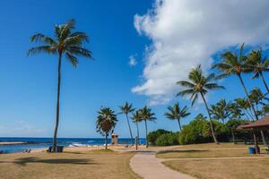 A tropical beach with tall palm trees, a paved walkway, a lifeguard tower, calm blue water, grassy patches, and a pavilion under a partly cloudy sky. photo