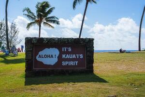 Sign Displaying Kauai's Spirit with Ocean and Palm Trees in View photo