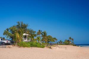 Golden sandy beach with a lifeguard tower, lush greenery, and palm trees. Calm ocean stretches to the right under a clear blue sky. photo