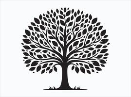 Black Color Tree Silhouette of Oak Pine and Willow Trees vector