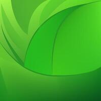 Abstract green gradient color curve lines background. Wallpaper design vector