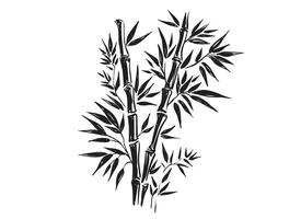 Bamboo tree, Hand drawn style. vector
