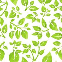 Leafy green illustration with a variety of plant shapes on a white background. Seamless pattern vector