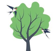 Swallows flying around a green tree in a serene natural setting during daytime vector