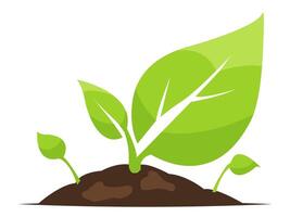 New plant growth emerging from rich soil illustrating the cycle of life in a vibrant and fresh design vector