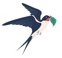 Swallow bird flying with a green leaf in its beak in a simple illustration style vector