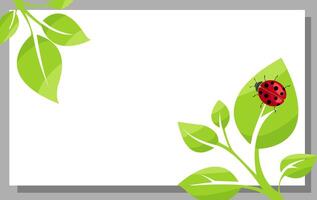 Colorful ladybug on green leaves in a simple illustration featuring a blank background for design projects vector