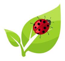 Red ladybug resting on a bright green leaf in a vibrant natural setting vector