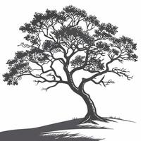 Professional Grayscale Windswept Tree Illustration High Resolution Nature Art. vector