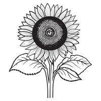 Sunflower Coloring Pages for kids Exquisite Sunflower Bouquet Line Art for Adding a Personal Creative Touch to Your Projects. vector