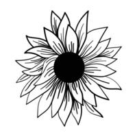 Sunflower Coloring Pages Exquisite Sunflower Bouquet Line Art for Adding a Personal Creative Touch to Your Projects. vector
