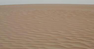 Patterns on sand in the desert. The moves from sand waves to a general view of the desert with a sandy haze video