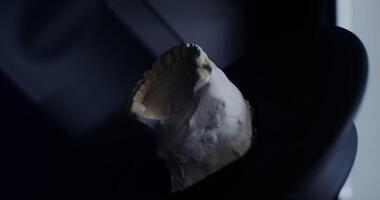 Close-up panoramic scan of the cast of the jaw to create dentures. The work of an orthodontist. No people. in 4k, red komodo video