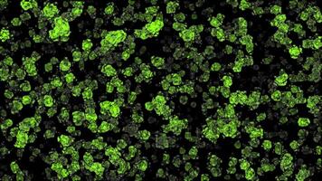 Green particles are floating and bouncing on a black background generating dynamic abstract motion graphic design reflecting technological energy and visual movement video