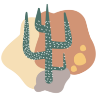cactus plant icon with boho design png