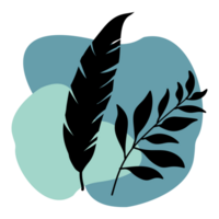 feathers and leaves on a boho style shapes png