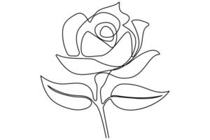 Continuous single line of Rose flower drawing outline art illustration vector