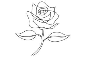 Continuous one line drawing of Rose flower premium illustration vector