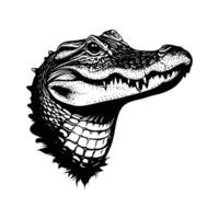 Crocodile head isolated on white background with sharp teeth and wild, dangerous appearance vector