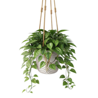 A 3d rendering of hanging homeland isolated on transparent background png