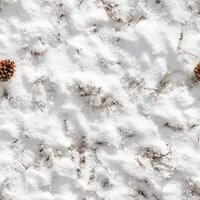 Top view photo of snow with a single pinecone resting, seamless texture