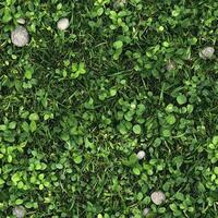 Top view photo of grass with scattered small pebbles, seamless texture