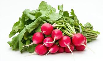 A bunch of radishes and spinach photo