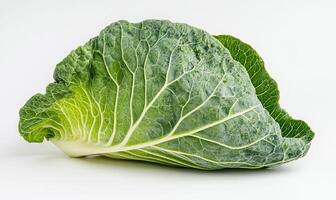 A leafy green vegetable with a white stem photo