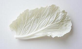 A white leafy vegetable photo
