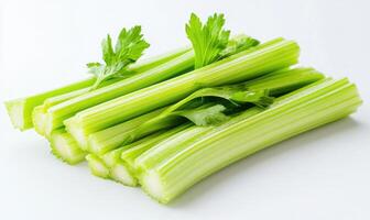A bunch of celery with a bunch of parsley on top photo