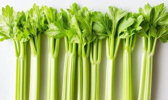 A bunch of celery stalks are lined up on a white surface photo