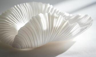 A white object with a curved shape photo