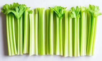 A bunch of celery stalks are lined up on a white background photo