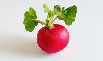 A small red radish with a leaf on top photo