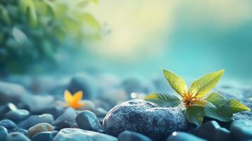 A leaf is on a rock in a field photo