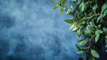 Verdant leaves contrast against the blue-toned backdrop, evoking a sense of natural beauty. The leaves add life to the space photo