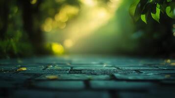 Pathway Through a Lush Forest, The dappled sunlight filters through leaves, creating a serene and inviting atmosphere in nature's embrace. photo
