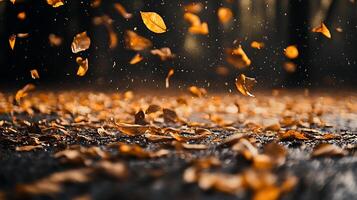 Autumn leaves falling gently, creating a colorful scene. The leaves add a touch of beauty to the season. photo