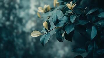 Captivating leaves in shades of teal and gold set against a blurred dark teal background create a serene, natural composition. photo